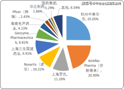 2020年中國糖尿病治療藥物市場專項(xiàng)調(diào)研分析及重點(diǎn)企業(yè)競爭分析